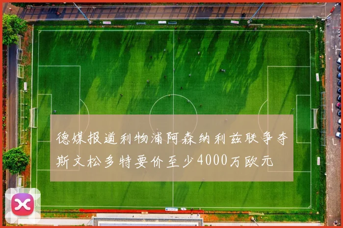 德媒报道利物浦阿森纳利兹联争夺斯文松多特要价至少4000万欧元